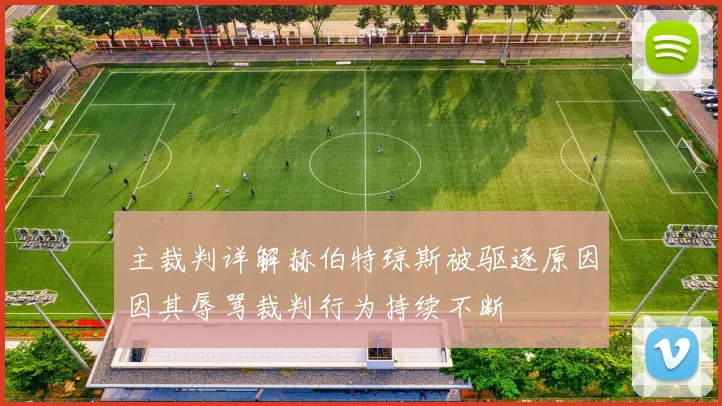 主裁判详解赫伯特琼斯被驱逐原因因其辱骂裁判行为持续不断