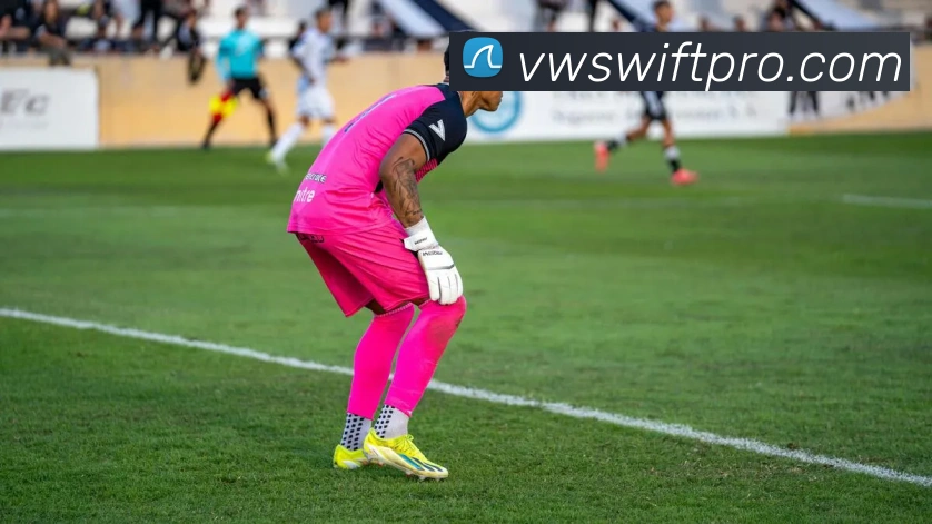 Vwin(德赢)品牌故事